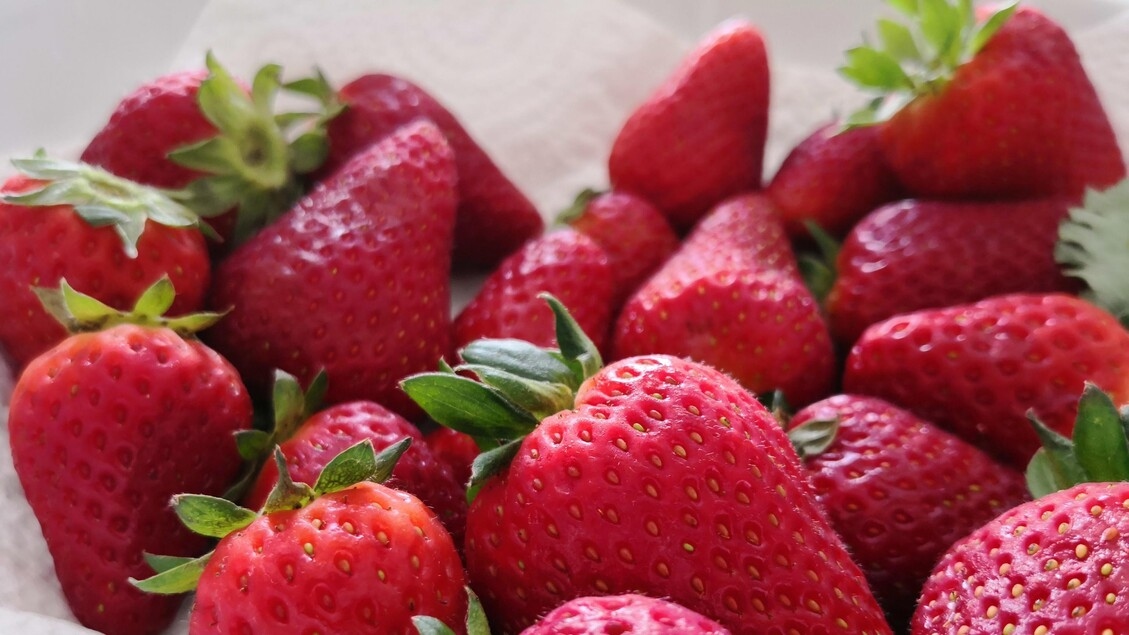 Dementia, the Mind diet reduces risks even if started late