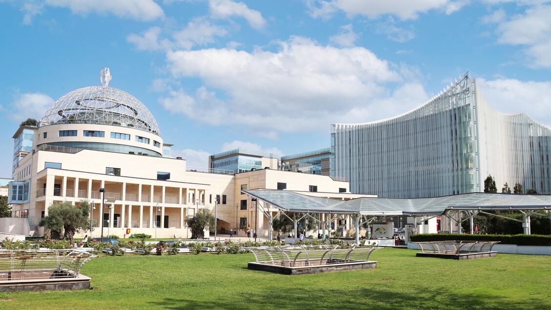 San Raffaele, a step forward in the fight against pancreatic cancer