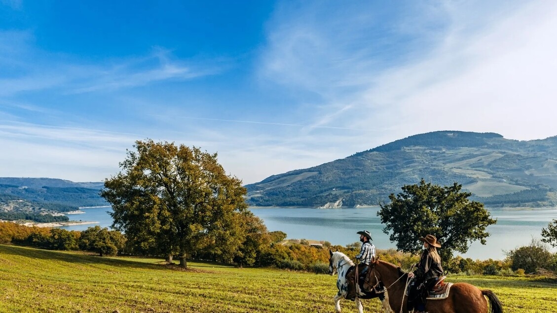 Over 200 itineraries for a cycling holiday