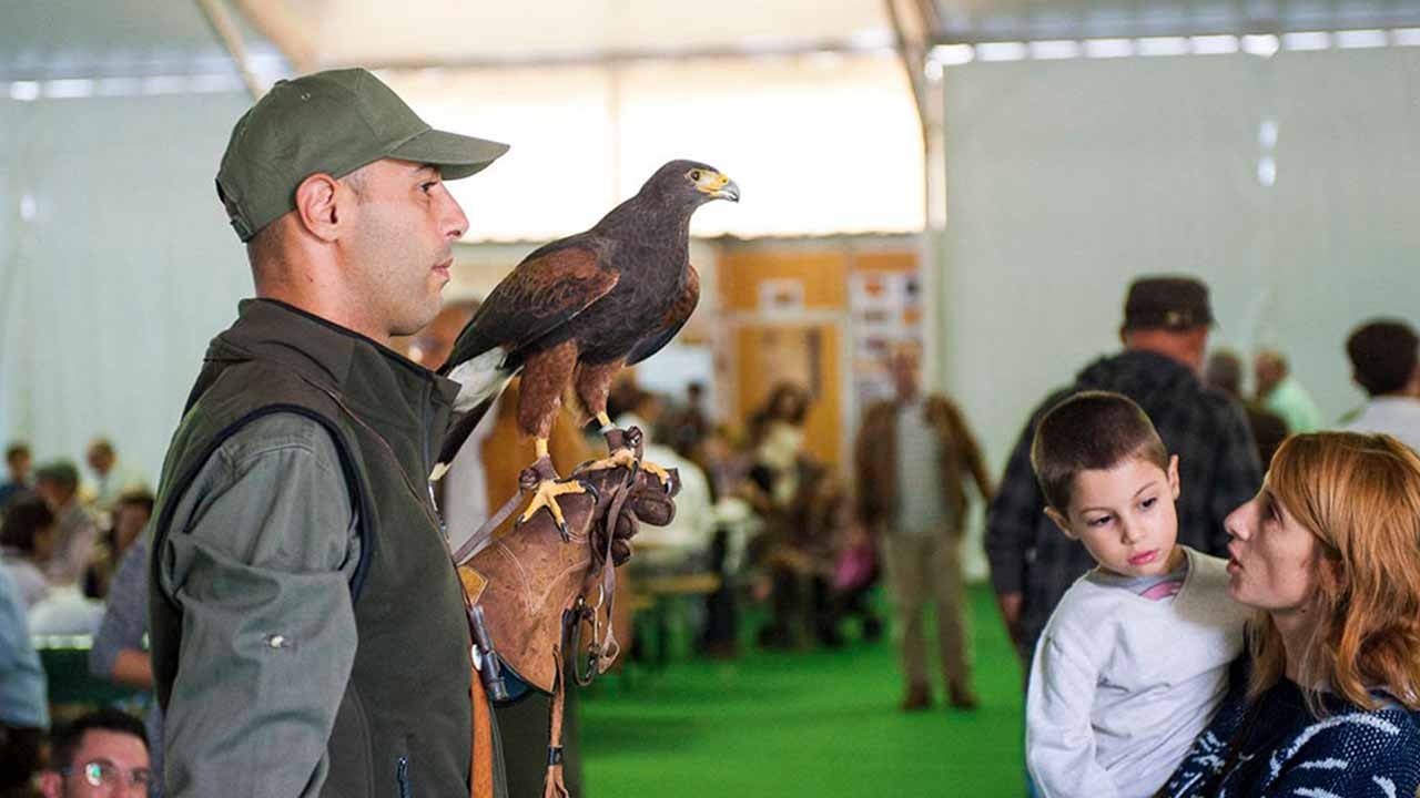 La XVI Fiera della Caccia di Mértola torna a ottobre al Padiglione Polivalente dell'Expo