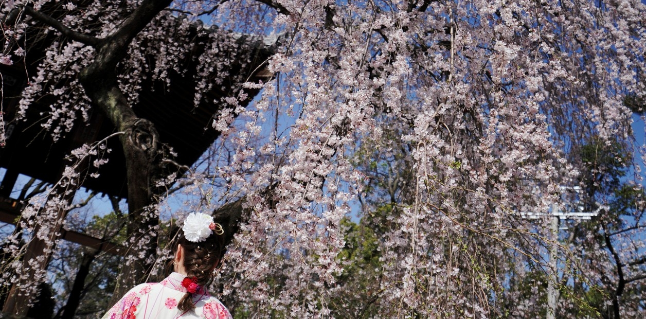 Een kaart om de charme van de Japanse literatuur te ontdekken