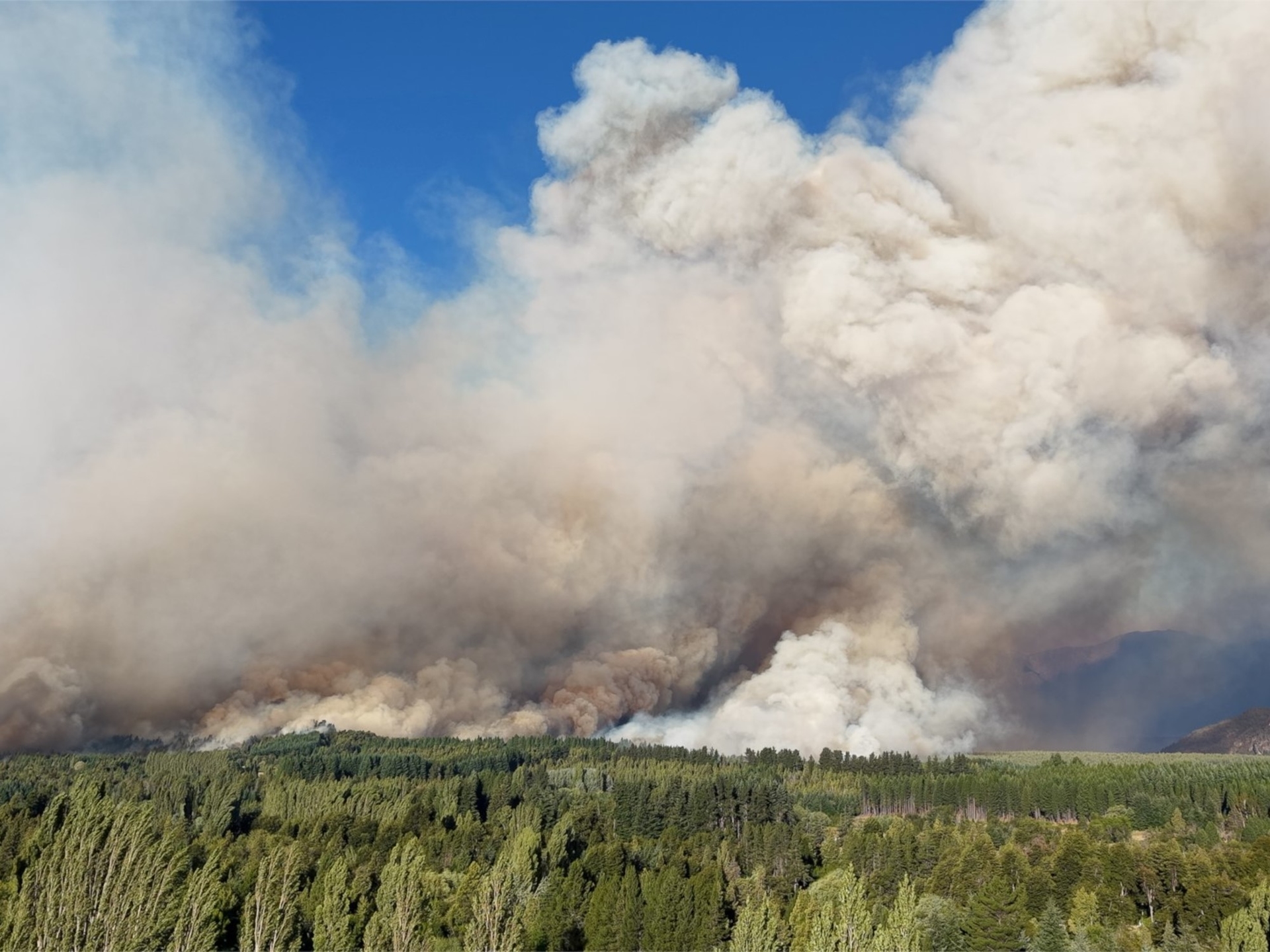 Campanha solidária no campo: fardos são entregues para ajudar produtores afetados pelos incêndios no sul do país