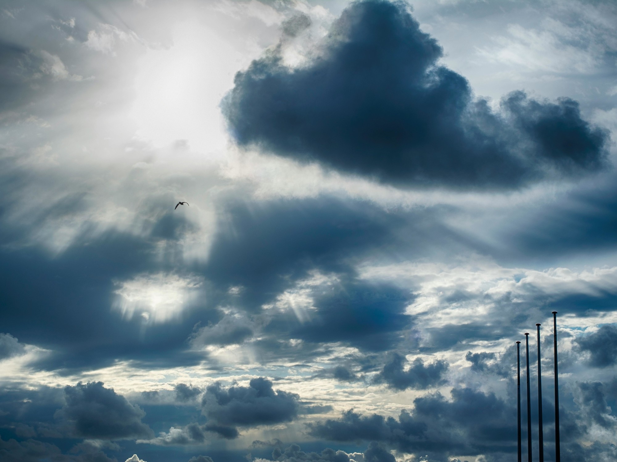 Clima hoy en Charata: el pronóstico del tiempo para este jueves 22 mayo de 2025