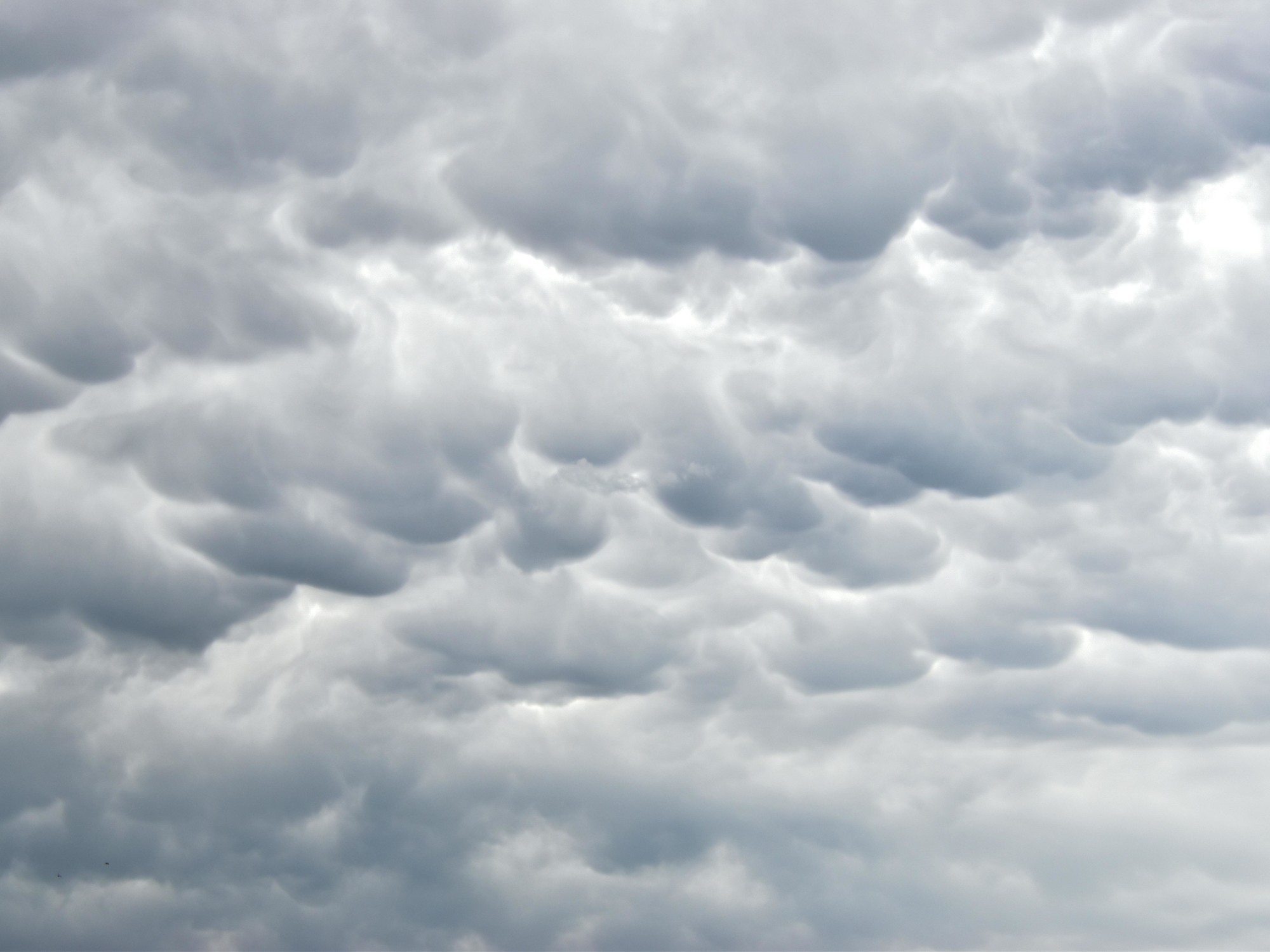 Meteo di oggi a Goya, Corrientes: previsioni meteo per domenica 22 giugno 2025