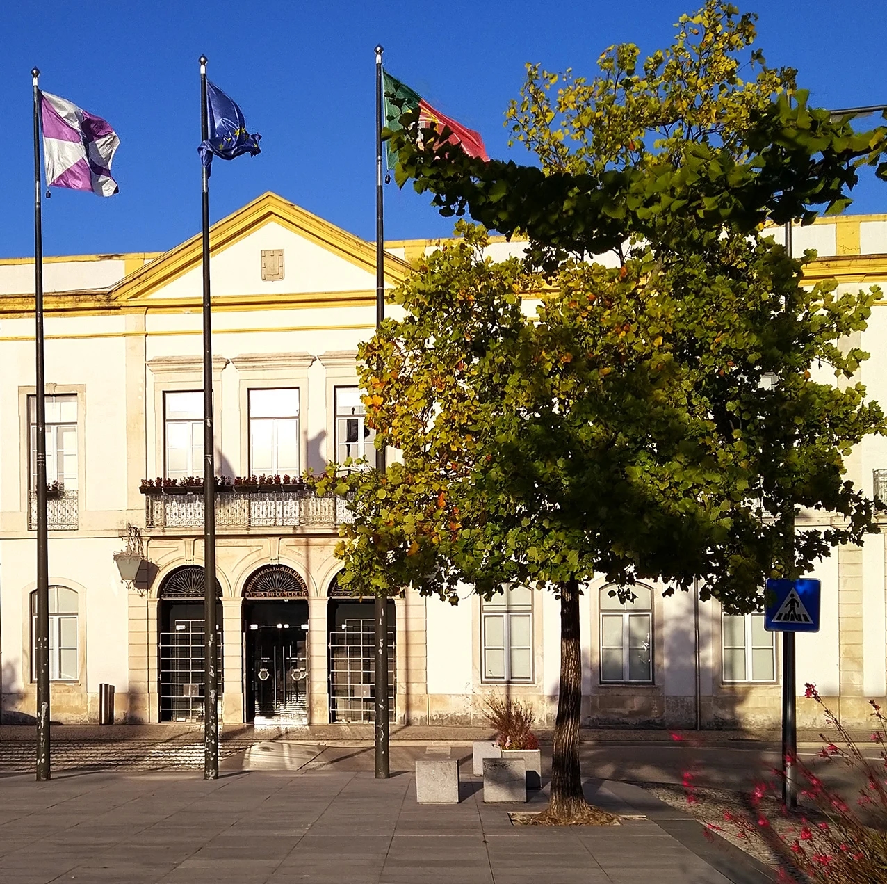 Anadia ofrece cinco mil euros de apoyo extraordinario a asociaciones culturales
