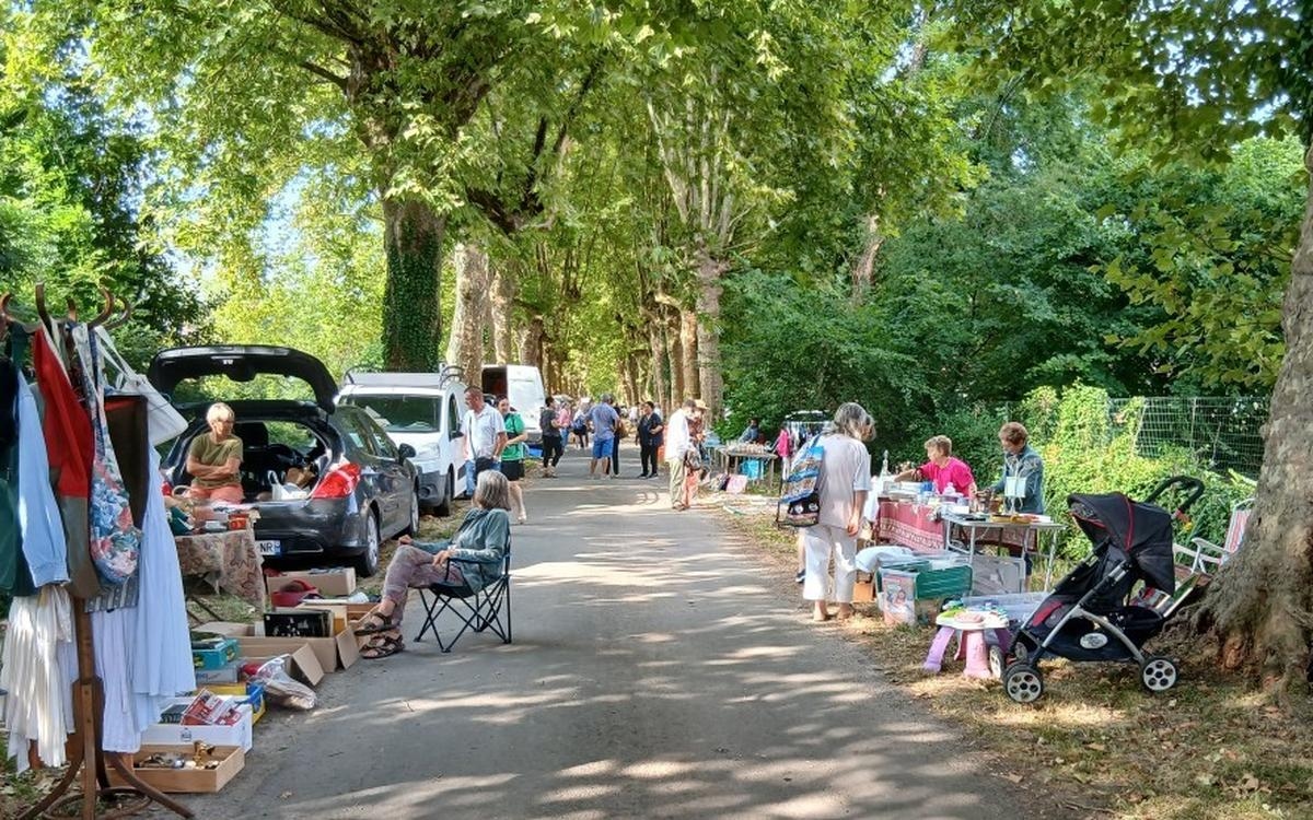 Was kann man diese Wochenmitte in der Dordogne unternehmen?