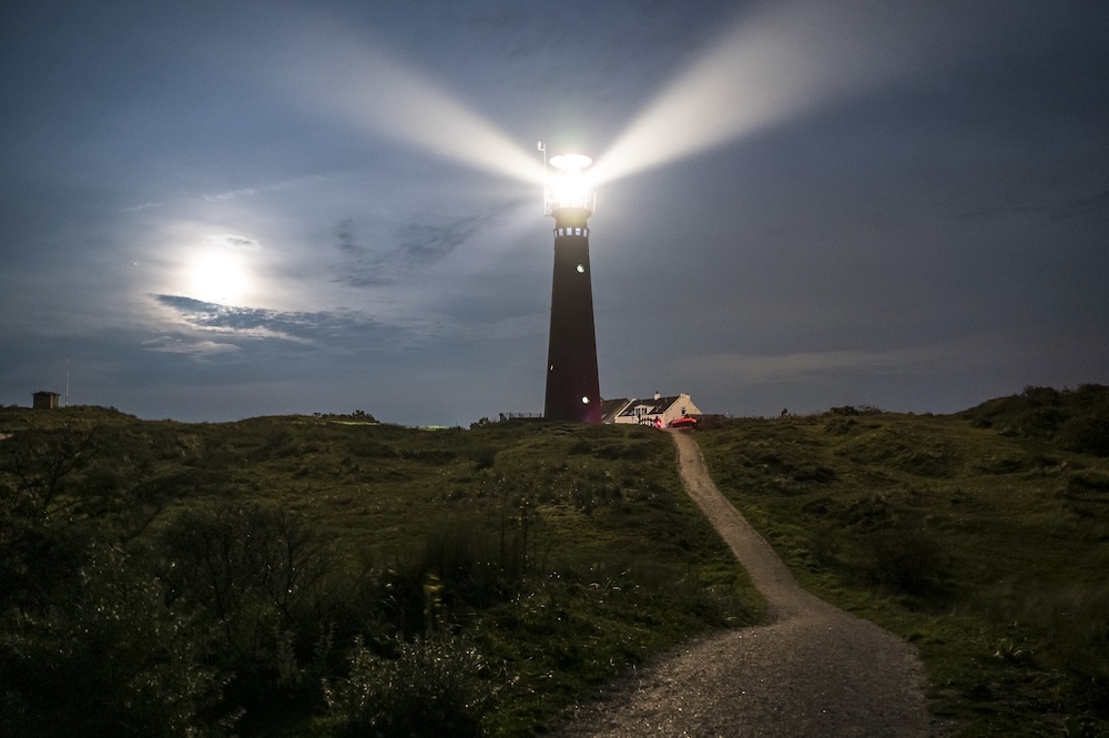 Wild nights: 10 ways to enjoy the Dutch outdoors after dark