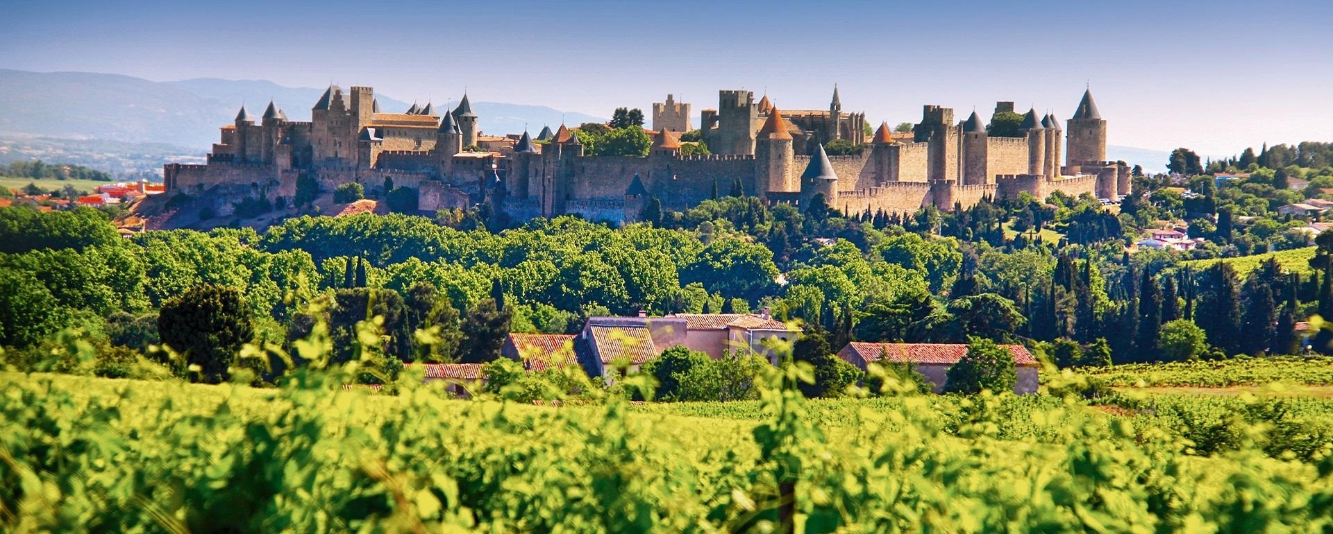 Carcassonne (11). Un hombre de 36 años apuñala a otro hasta la muerte con unas cincuenta puñaladas. Tiene un largo historial, incluyendo una condena por asesinato en 2016.