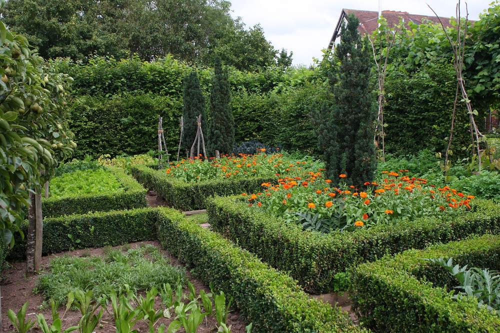 Les 13 plus belles haies persistantes pour votre jardin