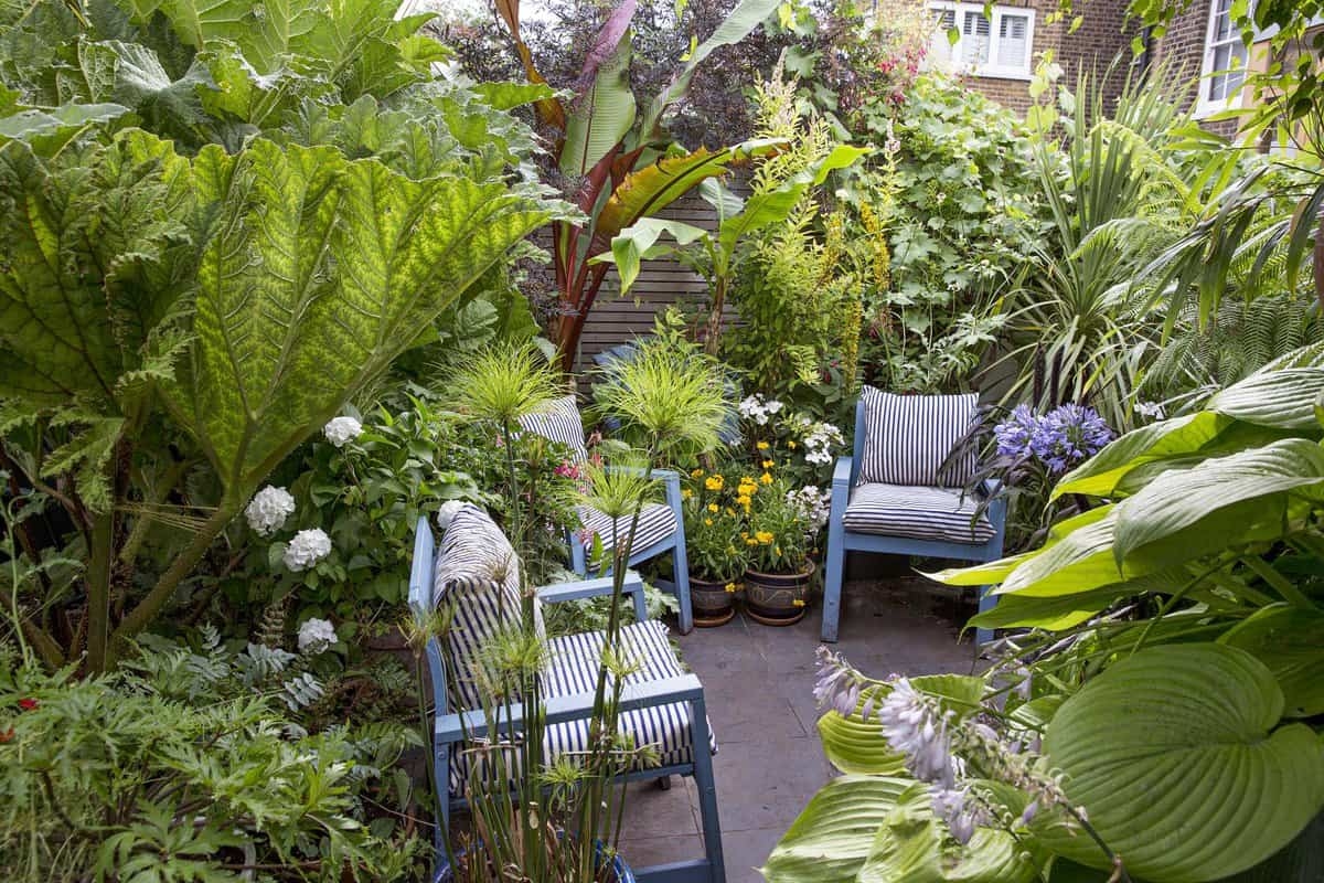 Suffering from the heat? These plants will make your garden cooler