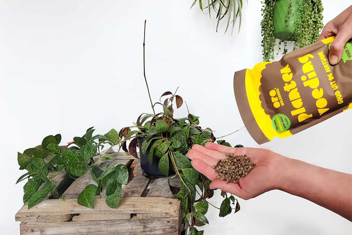 Feed your plants with wool pellets (contest)