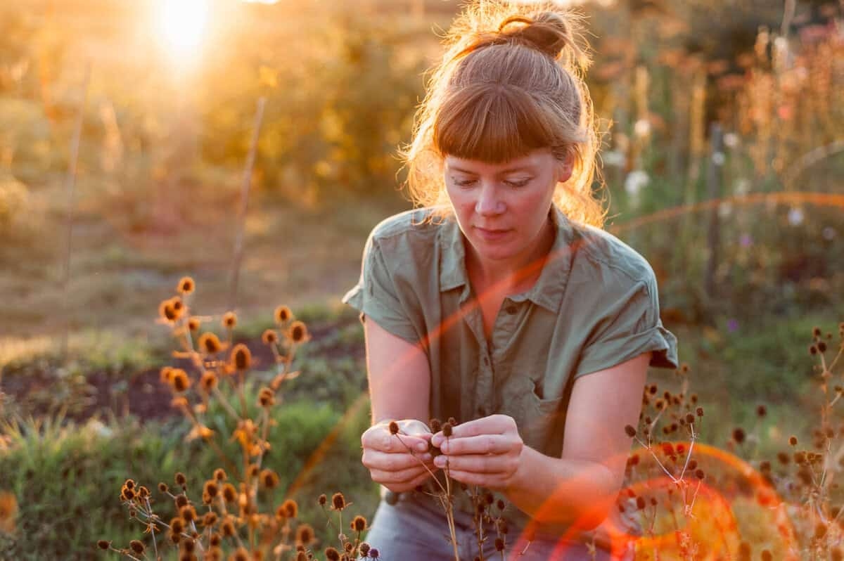 Sustainable grower: Flower and Harvest