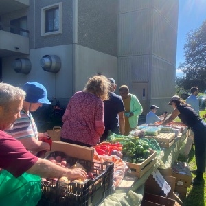 Развитие местной продовольственной системы: Grow Food Northampton продолжает чтить землю и людей, которые на ней выращивают продукты питания.