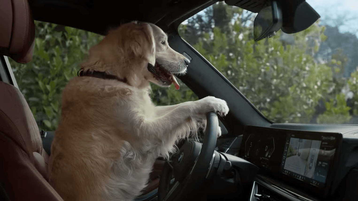 Innovatiecampagne: BMW en Jung von Matt laten de hond het stuur overnemen