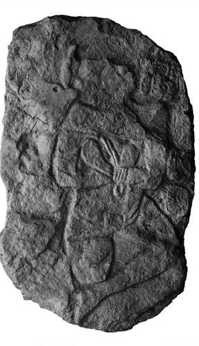 The discovery of a carved panel at Calakmul would rethink the idea of ​​the site's extent.