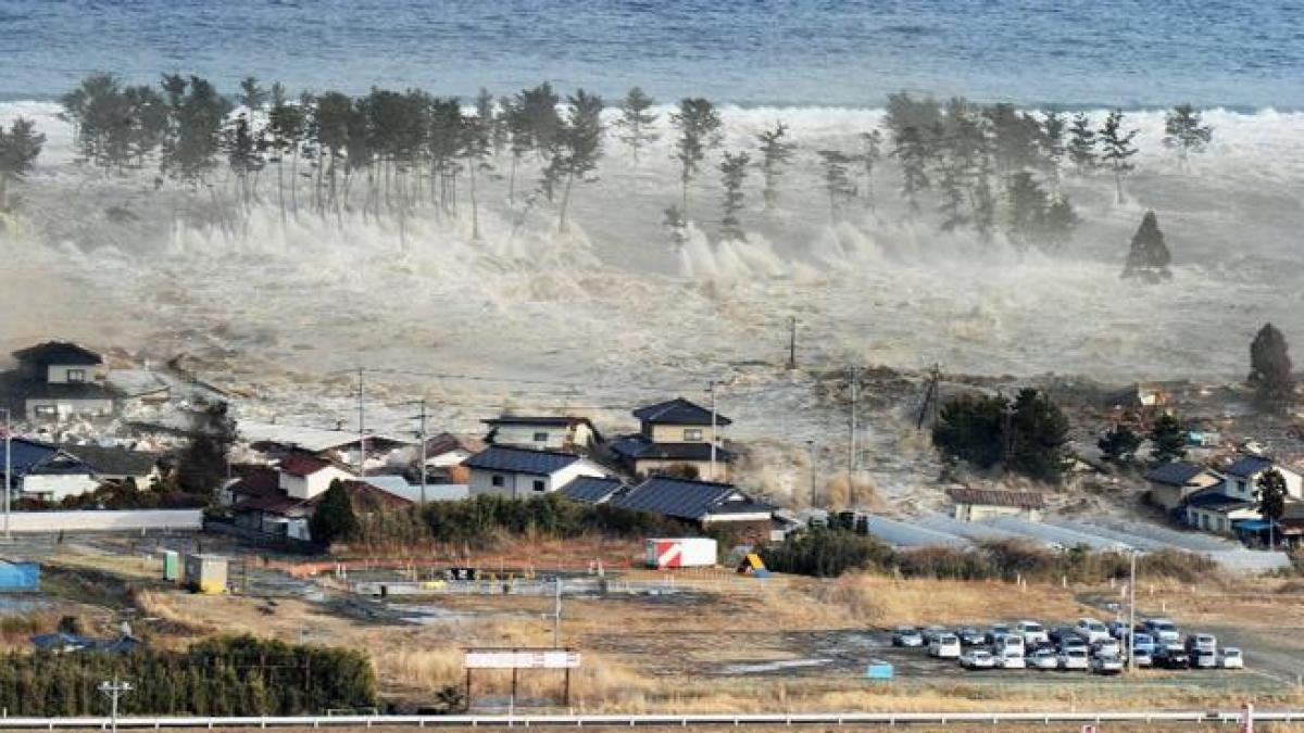 Tsunami neden oluşur?