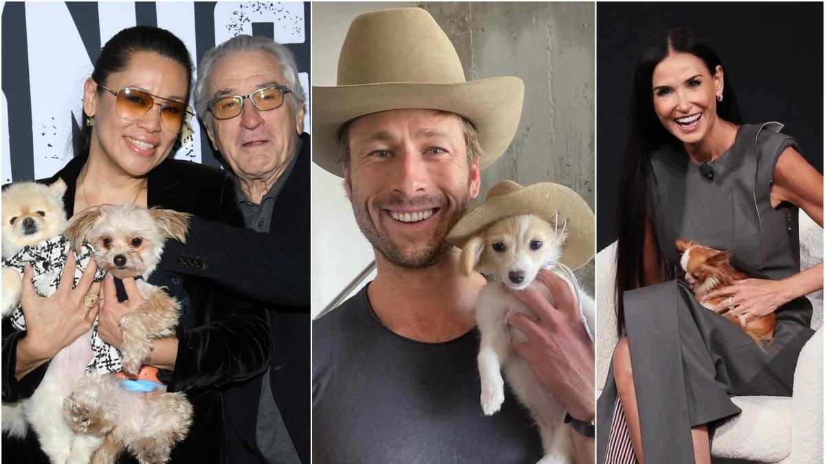 Robert De Niro'dan Glen Powell'a: Ünlüler Dünya Köpeğinizi İşe Götürme Günü'nü Kutluyor