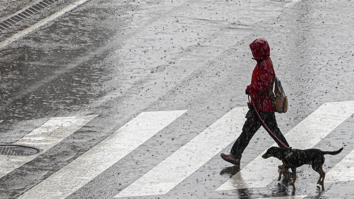 Привыкаем к оповещениям