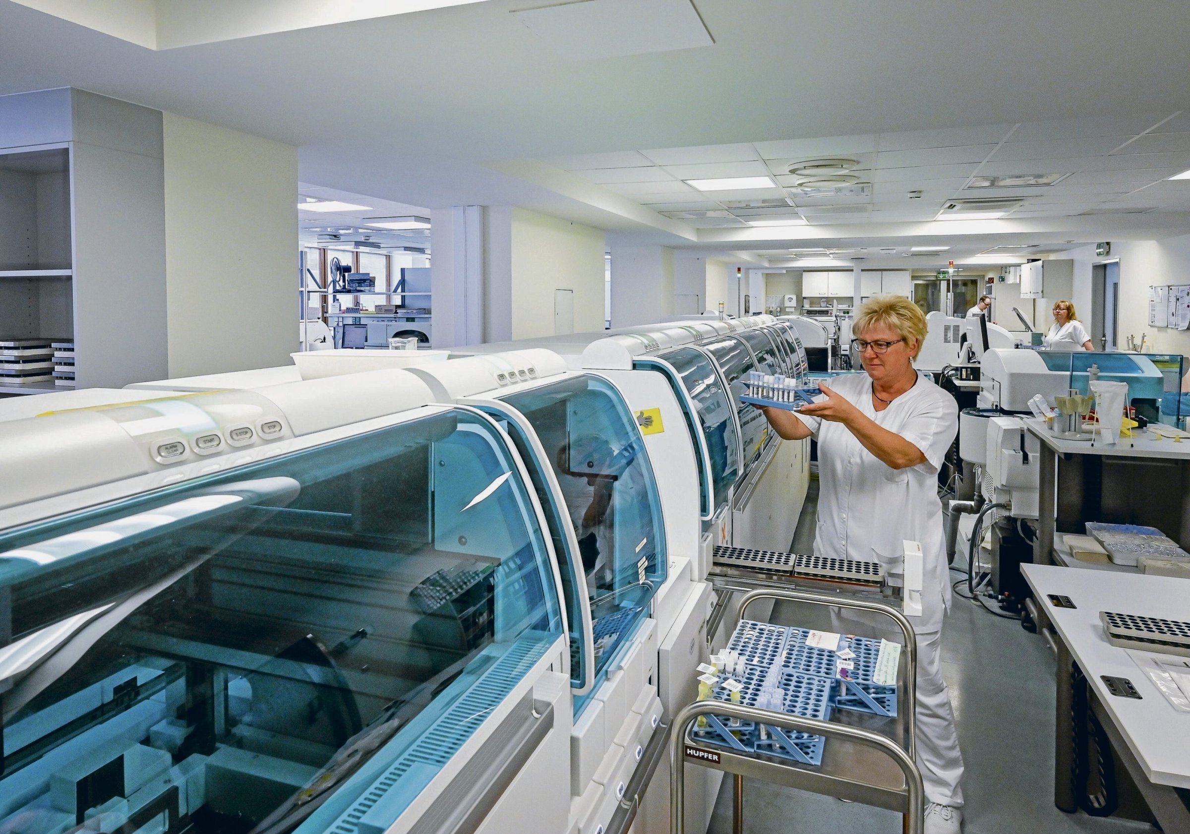 Science | Lusatia attracts medical professors