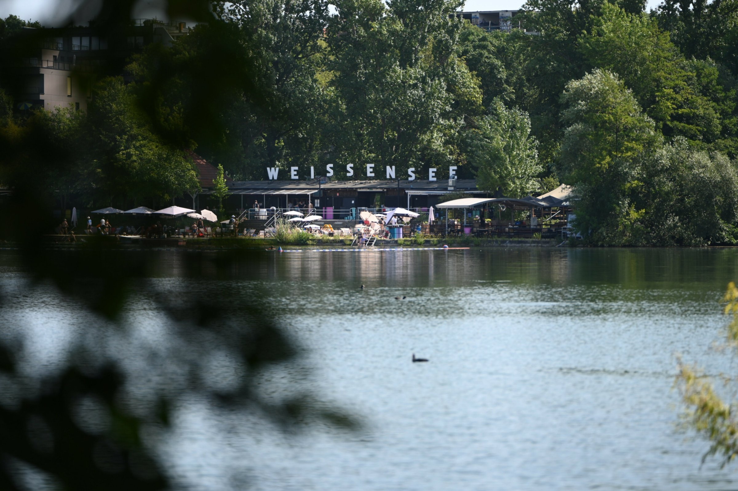 Accidentes de natación en Berlín | Natación peligrosa en aguas bravas en el lago Weißensee