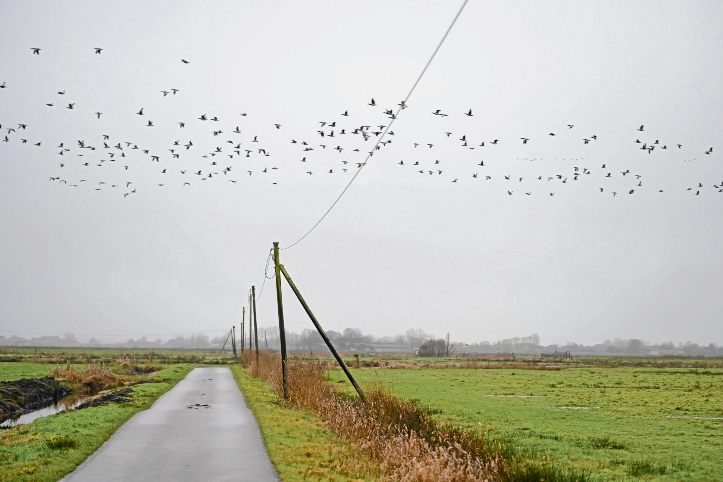 Literatura de izquierda | Christian Geissler: La lucha por la vida