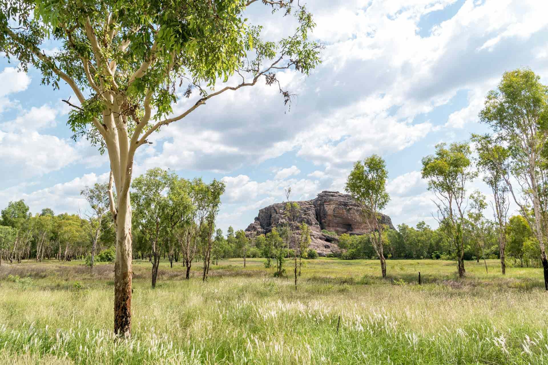 13 Amazing Kakadu National Park Walks (2025 Guide)
