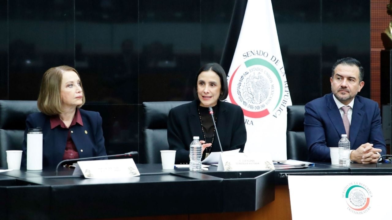 Сенер утверждает, что борется с кражей топлива и защищает свою энергетическую модель