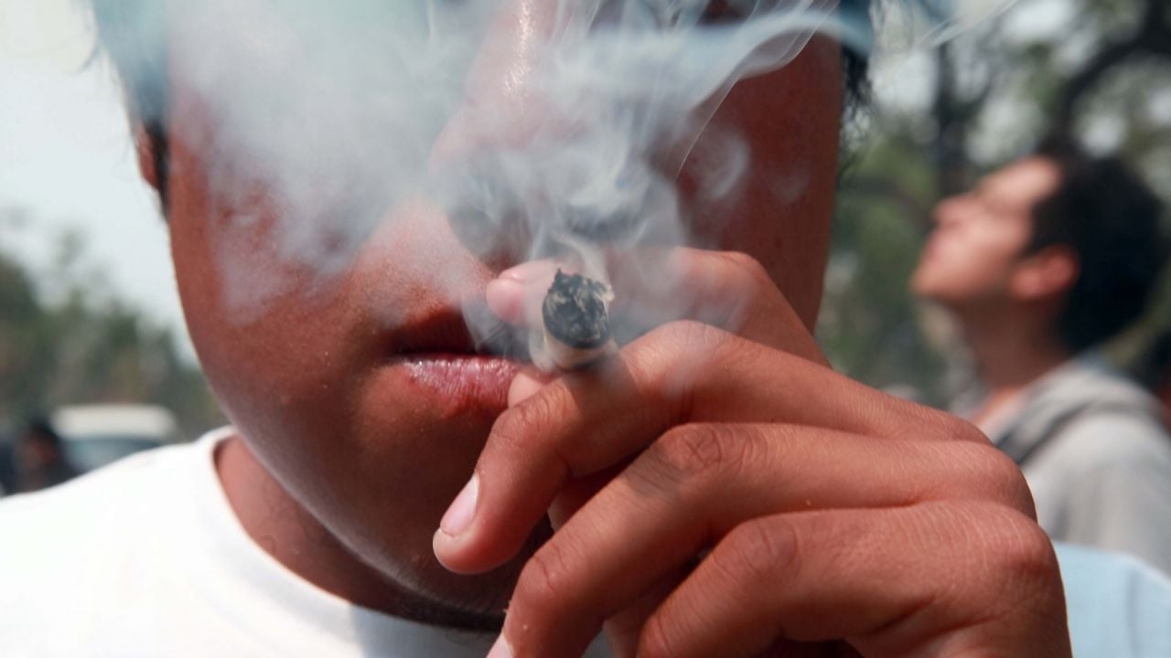 O Conselho da Nova Direita diz que Clara Brugada está “construindo uma cidade de fumantes de maconha”.