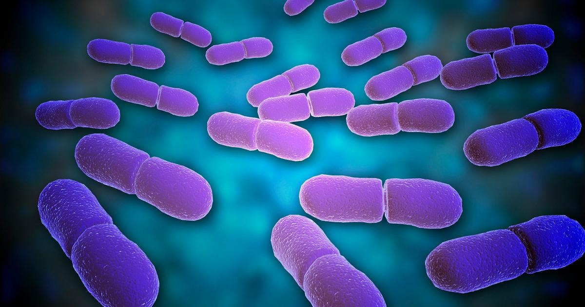 Carrefour Italia, listeria kaynaklı mikrobiyolojik risk nedeniyle üç ürününü geri çağırıyor.