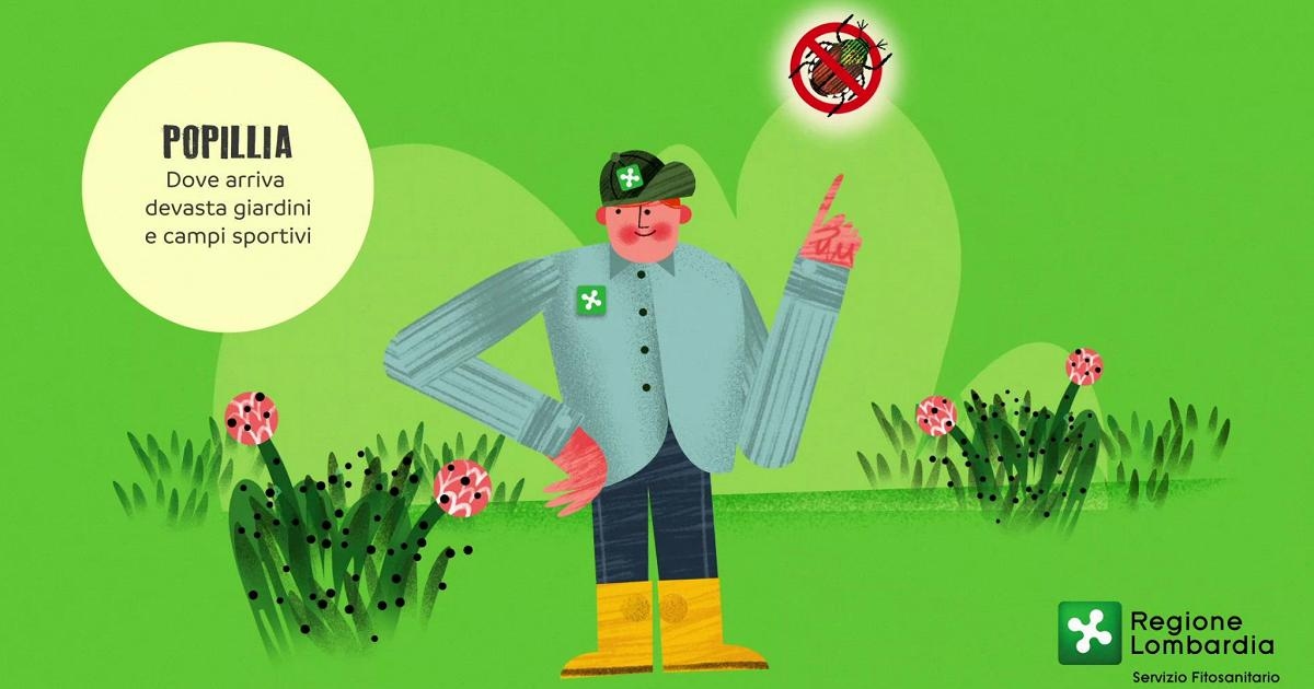 What is the Japanese beetle and why is it becoming a nightmare for Northern Italy?