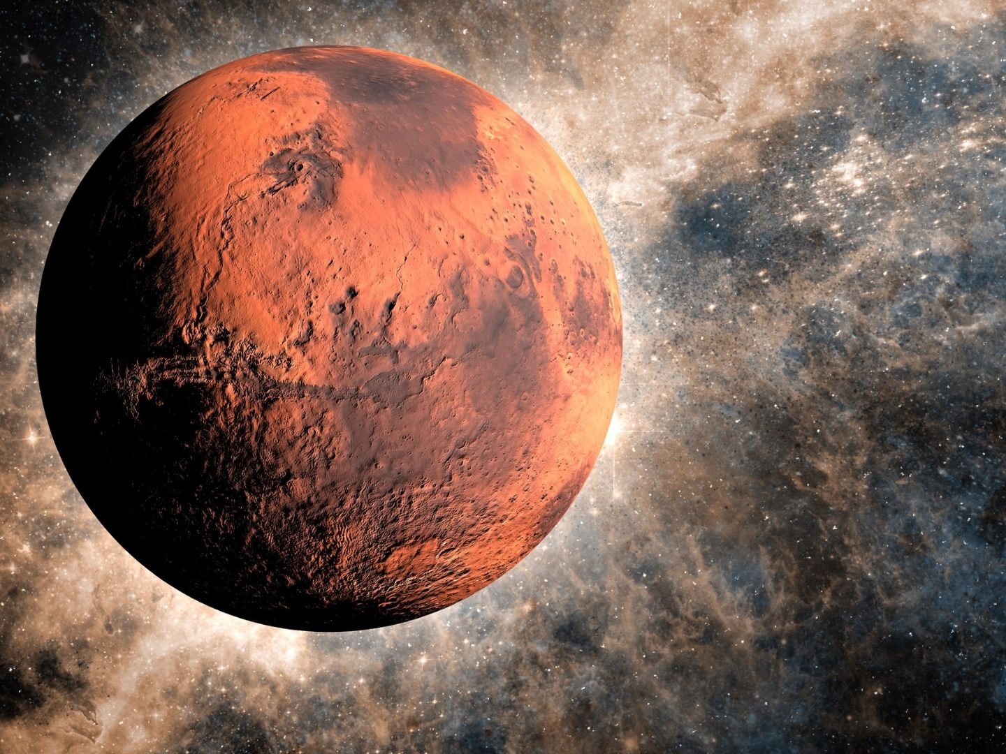 Mars'tan gelen nadir bir kaya parçası açık artırmayla satıldı