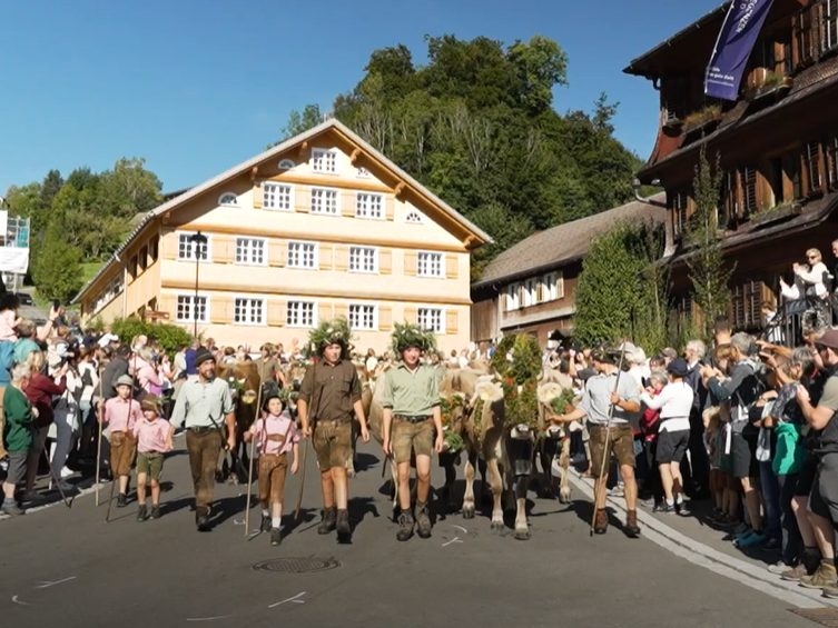 Tradition in motion: Alpabtrieb in Schwarzenberg delights young and old