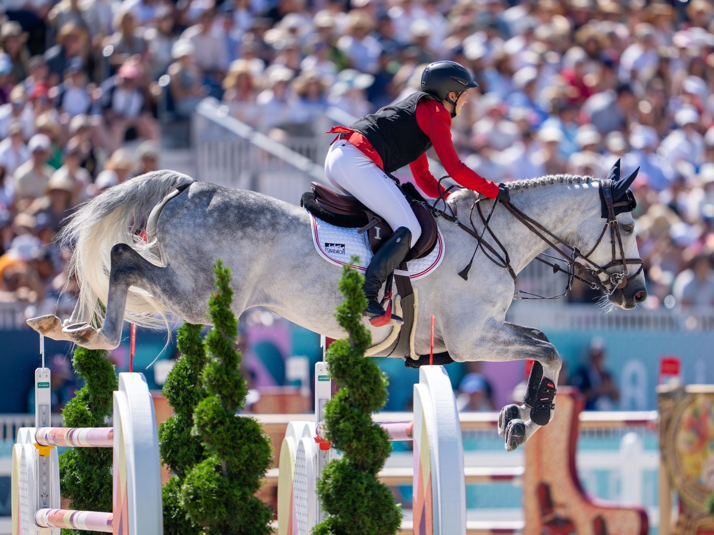 "Será extremamente impressionante": Expectativa para o torneio equestre em Schönbrunn