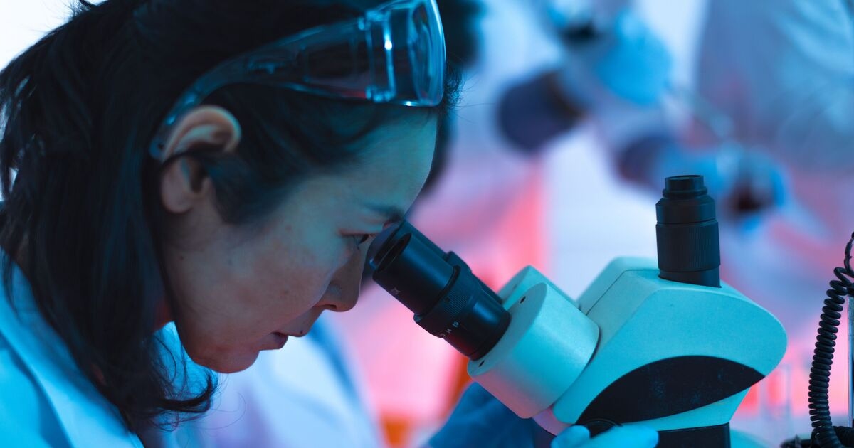 Un nuevo fármaco milagroso podría mantenernos jóvenes