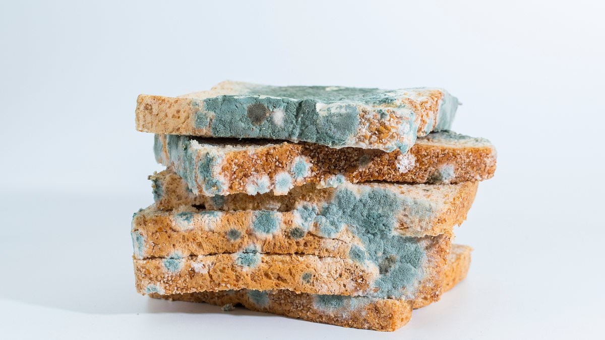 Un toxicologue dresse la liste des aliments qu'il ne faut JAMAIS consommer une fois moisis : cela pourrait entraîner des lésions organiques ou un cancer.