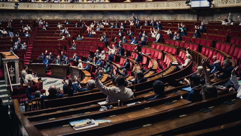 Members of Parliament approve the suspension of the pension reform in committee