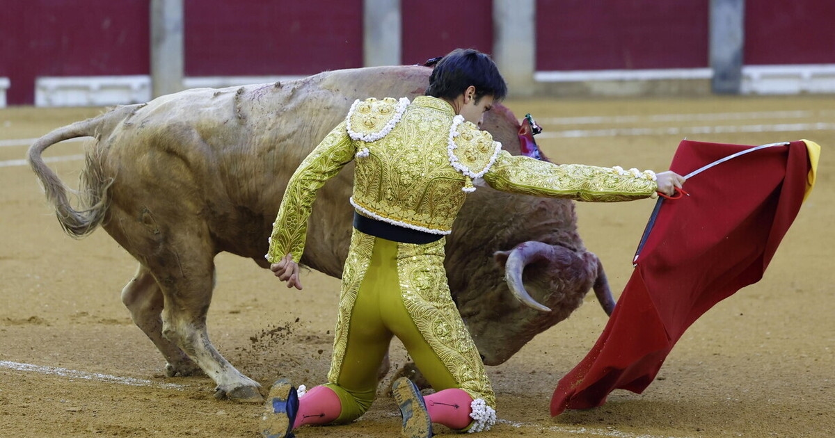Stierenvechten, net als film, stelt ons bloot aan het mysterie van de onverschillige natuur