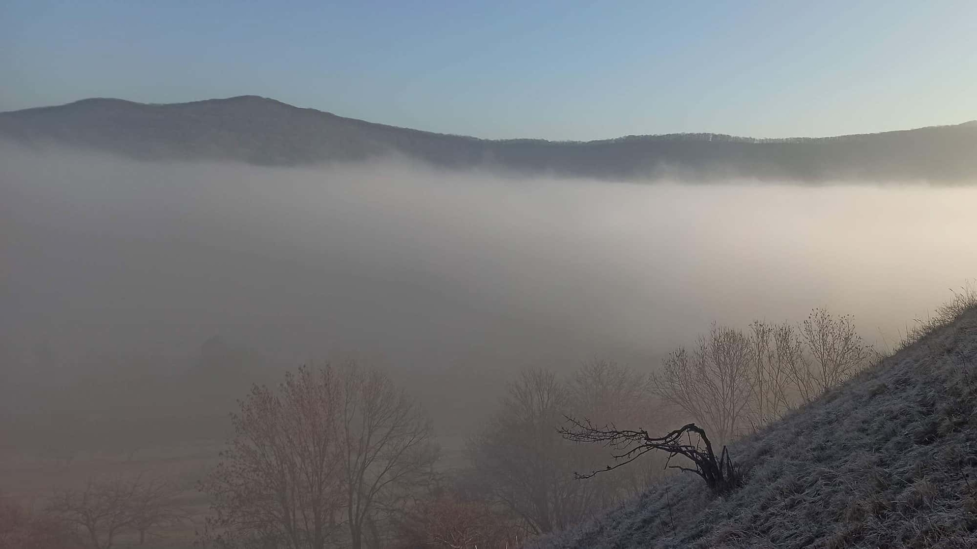 Краткое объяснение погодных явлений: как на самом деле образуется туман?