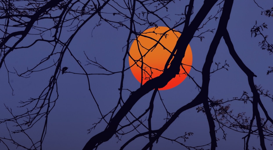 La NASA conferma: la Terra ha attualmente due lune