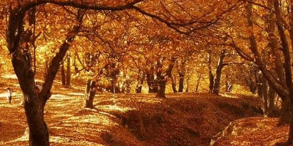 The Malaga village that's perfect for autumn: it has an orange 'jungle' and only 300 inhabitants