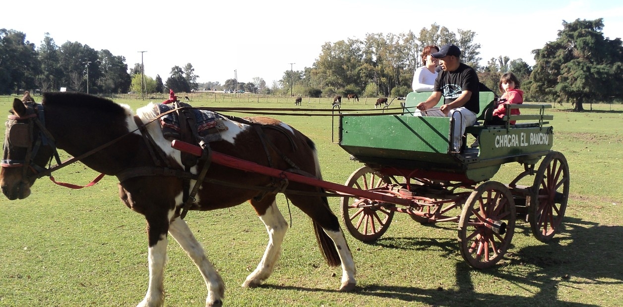 Десять загородных ресторанов с развлечениями для взрослых и детей