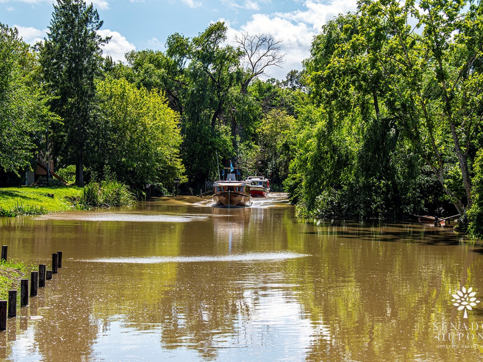 Une excursion en kayak, une journée sur une île avec randonnée et détente, ou un hôtel tout compris avec spa : 5 options à découvrir dans le delta du Tigre