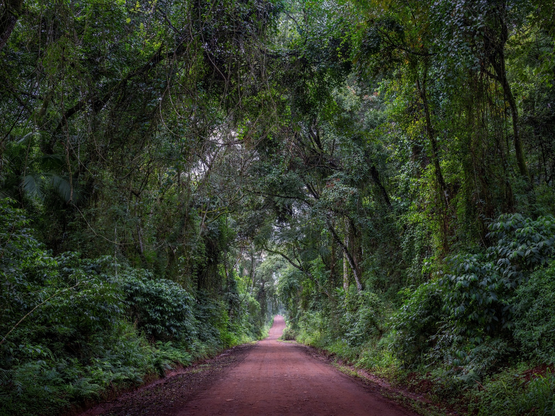Misiones yağmur ormanlarında lüksün en uç noktası: Her villanın özel havuzunun bulunduğu ve gezilerin kişiye özel olarak düzenlendiği muhteşem pansiyon.