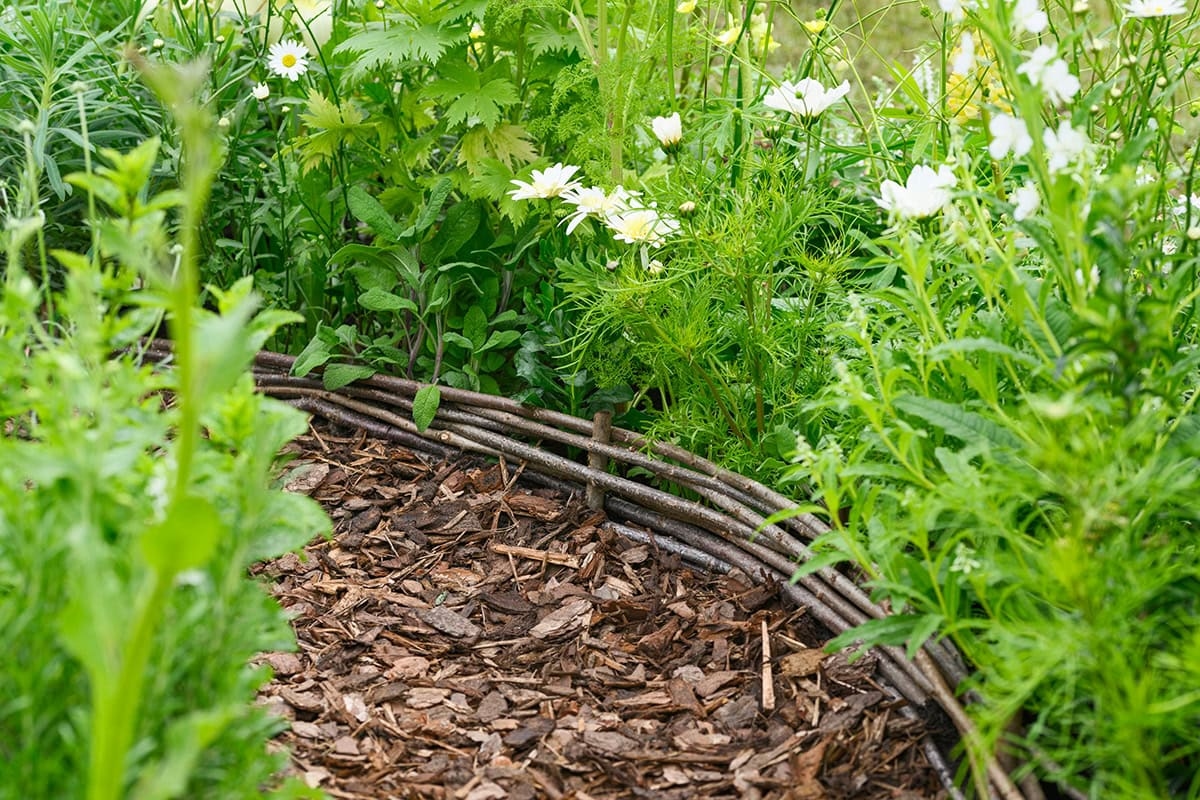 Oto 11 sprytnych rzeczy, które możesz zrobić z odpadami po przycinaniu