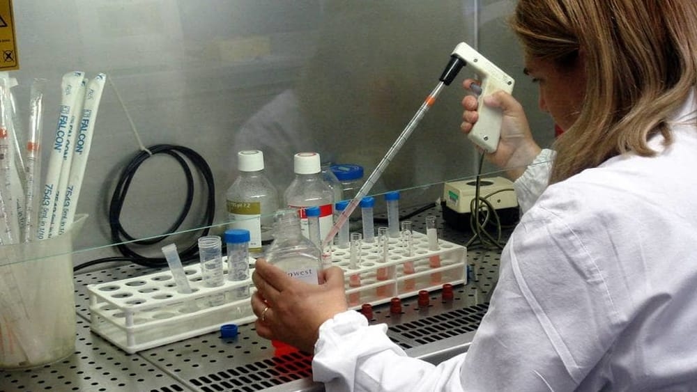 Tumori, 8 ospedali operano con le Car-T. Bertolaso: "Lavoriamo per un'unica Cell factory lombarda"