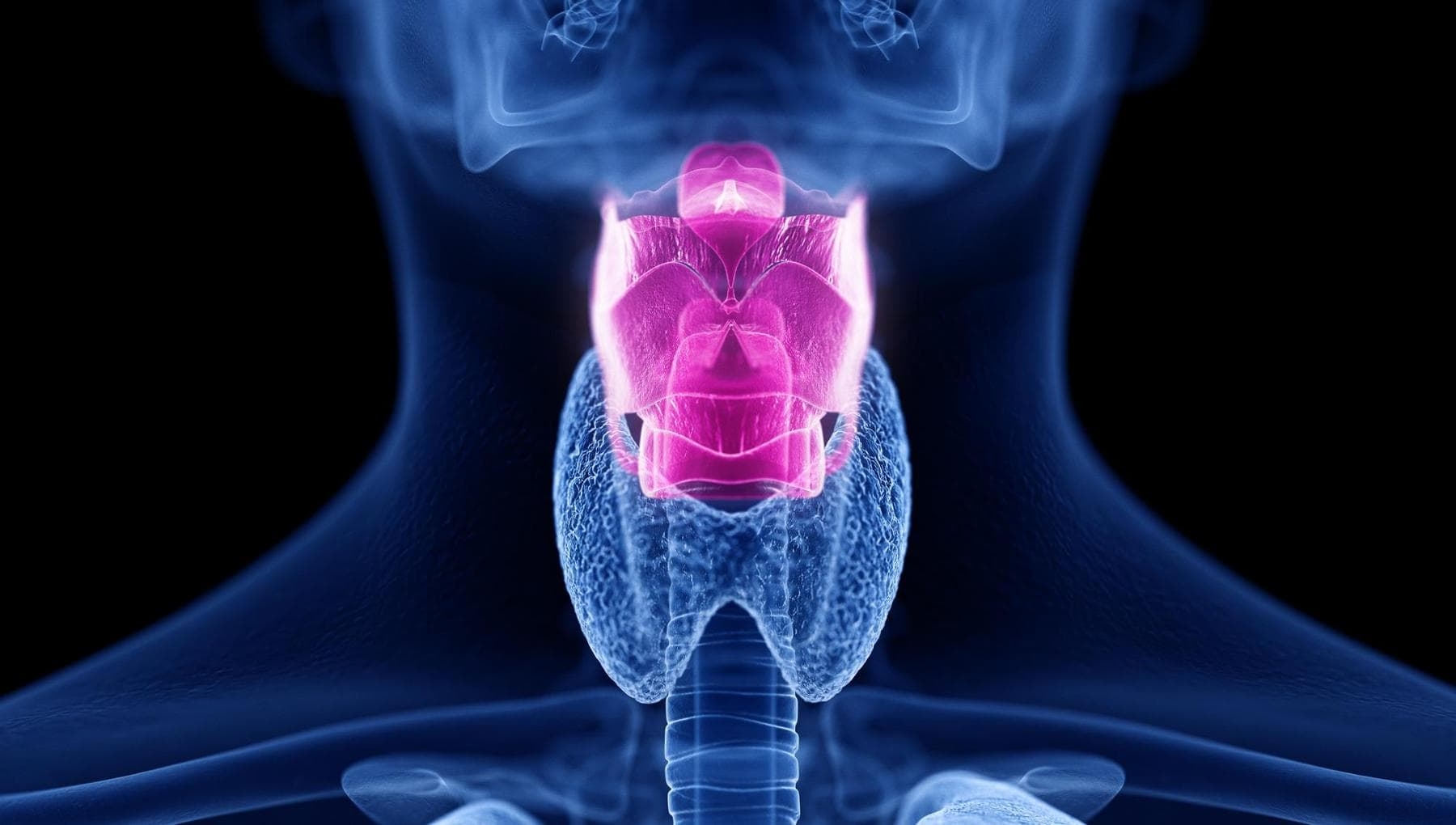 Une mini imprimante 3D pour améliorer la chirurgie des cordes vocales